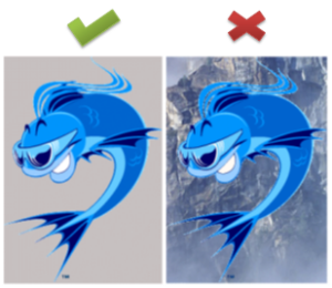 Selection of Image Selection of Image