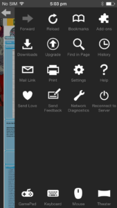 Puffin Browser Settings