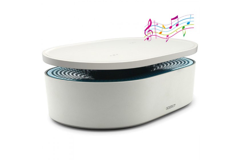 Oaxis Bento Induction Speaker